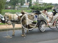 Da Lat qtp  Da Lat Video