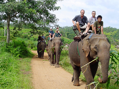 Elefant_ridning