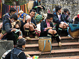 Sapa_Marked